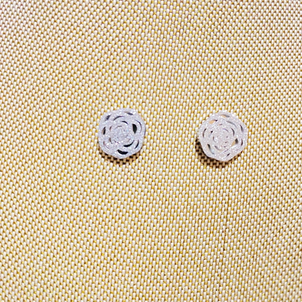 🤩 Fashion Earrings